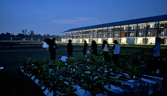 种植技术指导选型应核对哪些关键要点